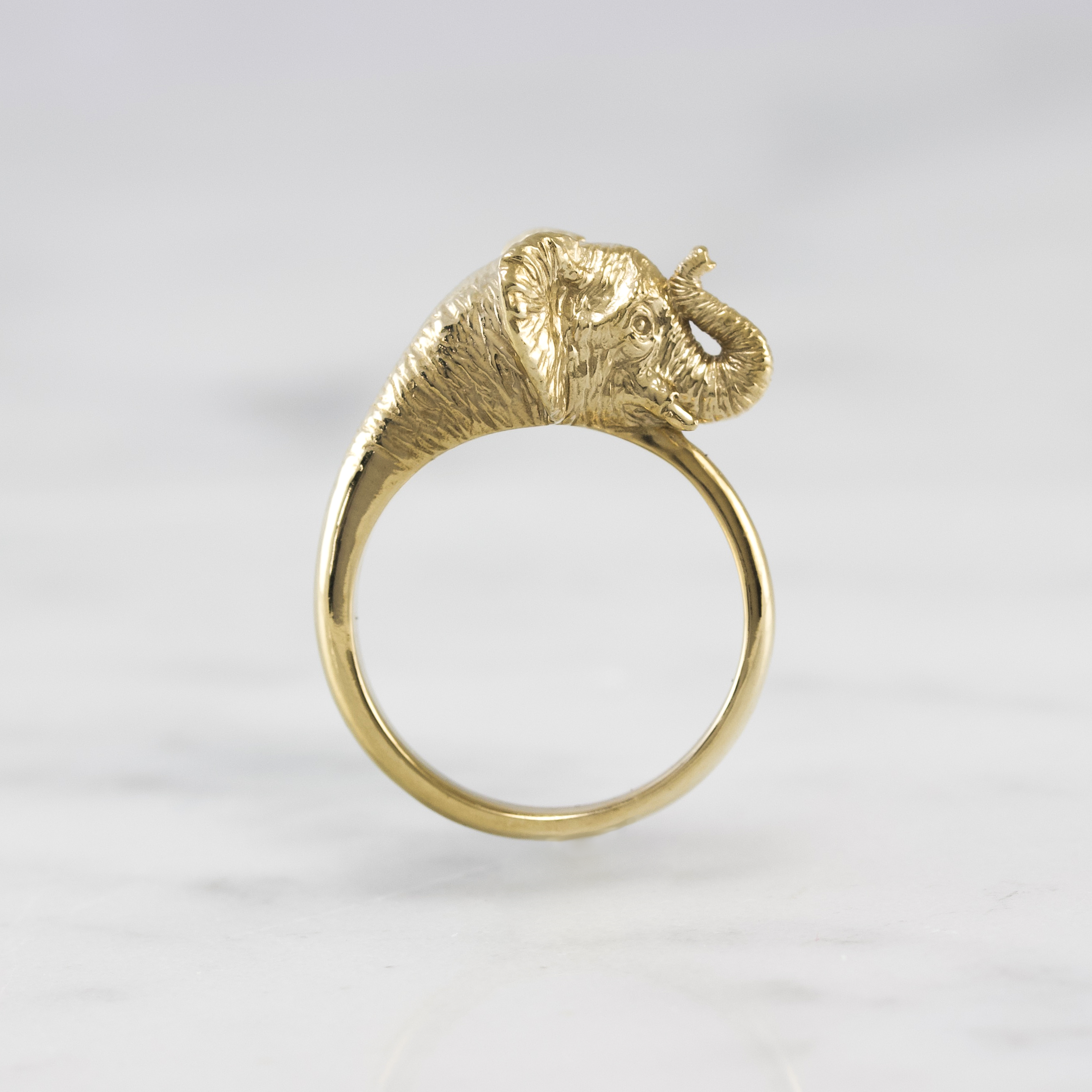 Elephant wrap 2025 around ring