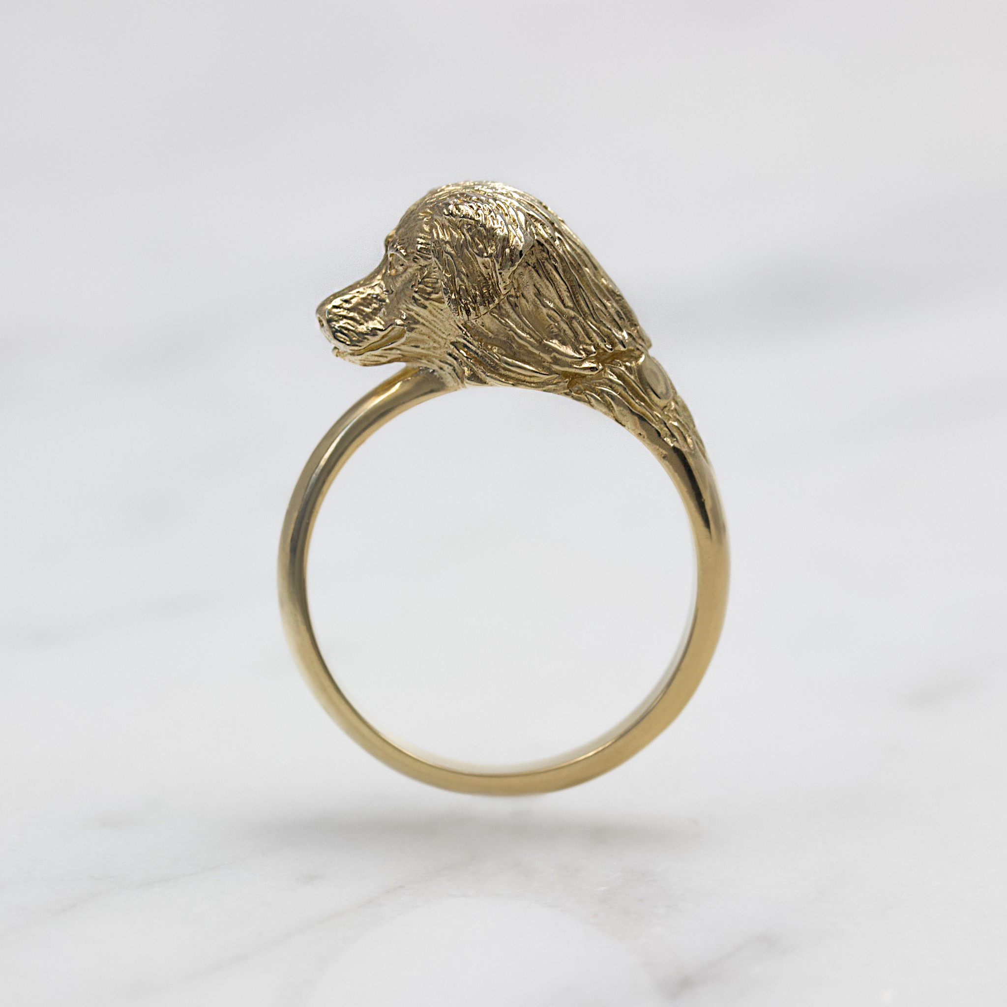 Golden Retriever Ring