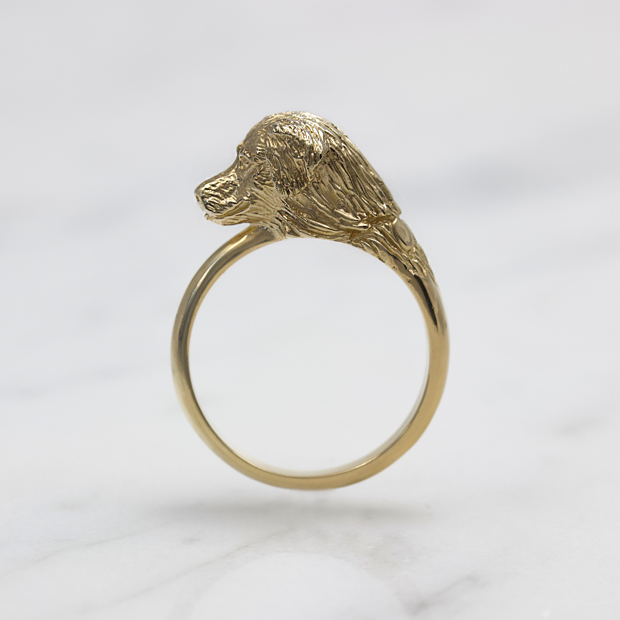 Golden sales retriever ring