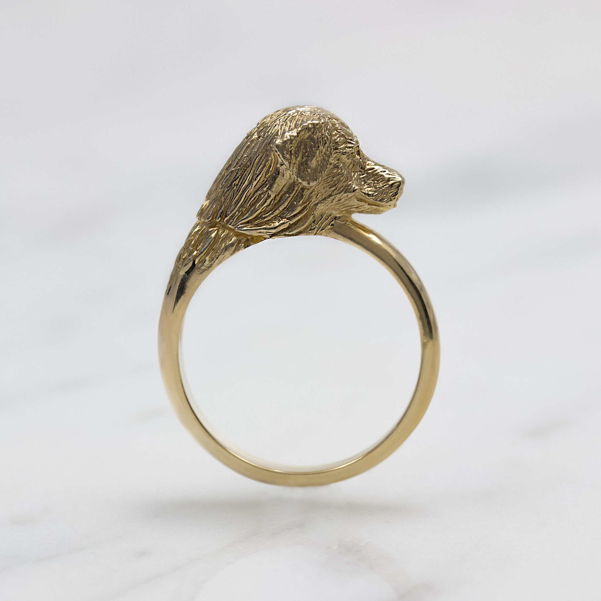 Golden Retriever Ring